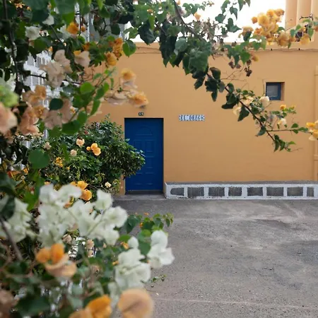 Vista Farallón